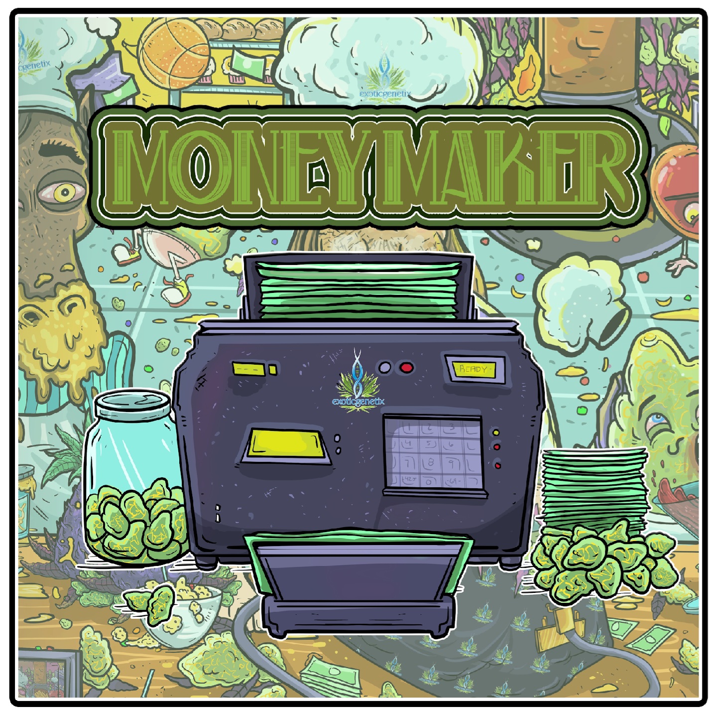 Exotic Bakers Dozens Fem Seeds Lineup In Stock.