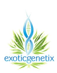 EXOTIC GENETIX PROJECT 9 FEM - Image 3