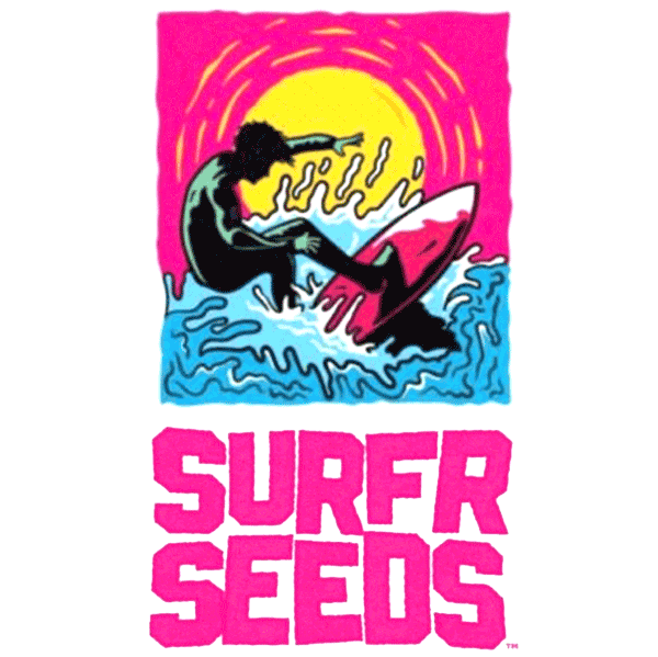 surfr seeds