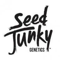 Seed Junky Genetics