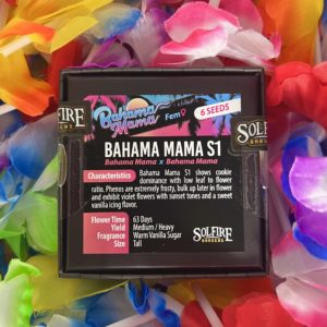 solfire gardens bahama mama s1 fem seeds