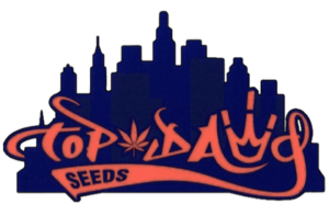 Top Dawg Seeds