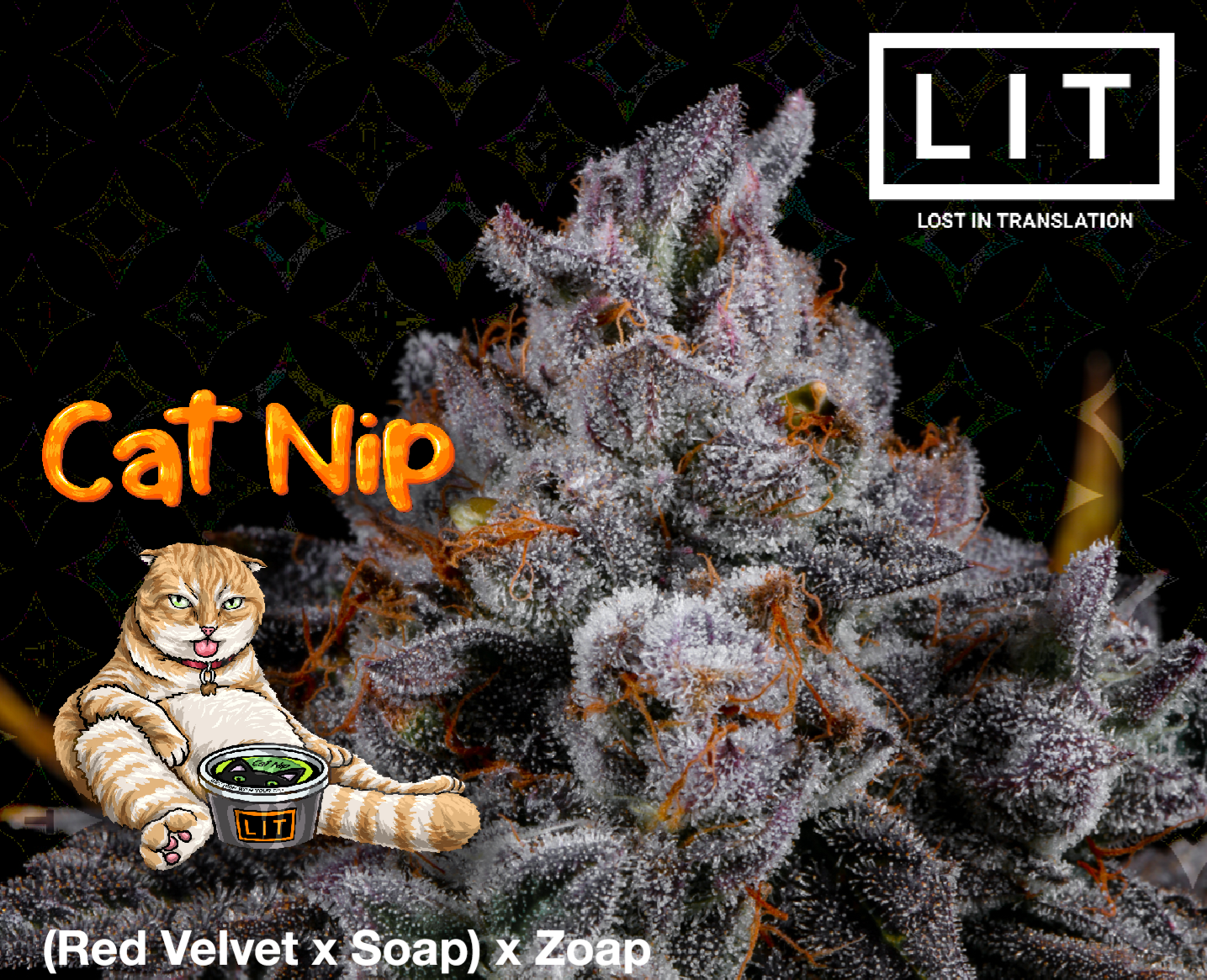 CAT NIP BY LIT FARMS *Includes Freebie Pack*
