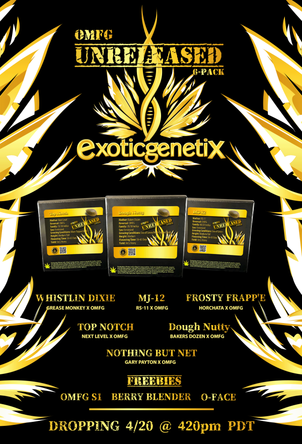 EXOTIC GENETIX OMFG UNRELEASED LIMITED EDITION SIX PACK BOX FEMS