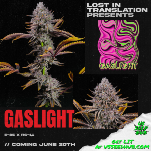 e-85 x RS-11 lit farms rs-11, permanent marker, permz strain seeds, white iverson strain seeds, rainbow soap strain feminized seeds, rainbow candy strain feminized seeds, lemon cherry sherbert strain feminized seeds, gas light strain feminized seeds, half pack and full packs. us seed hub. top cannabis seed banks that ship in the us