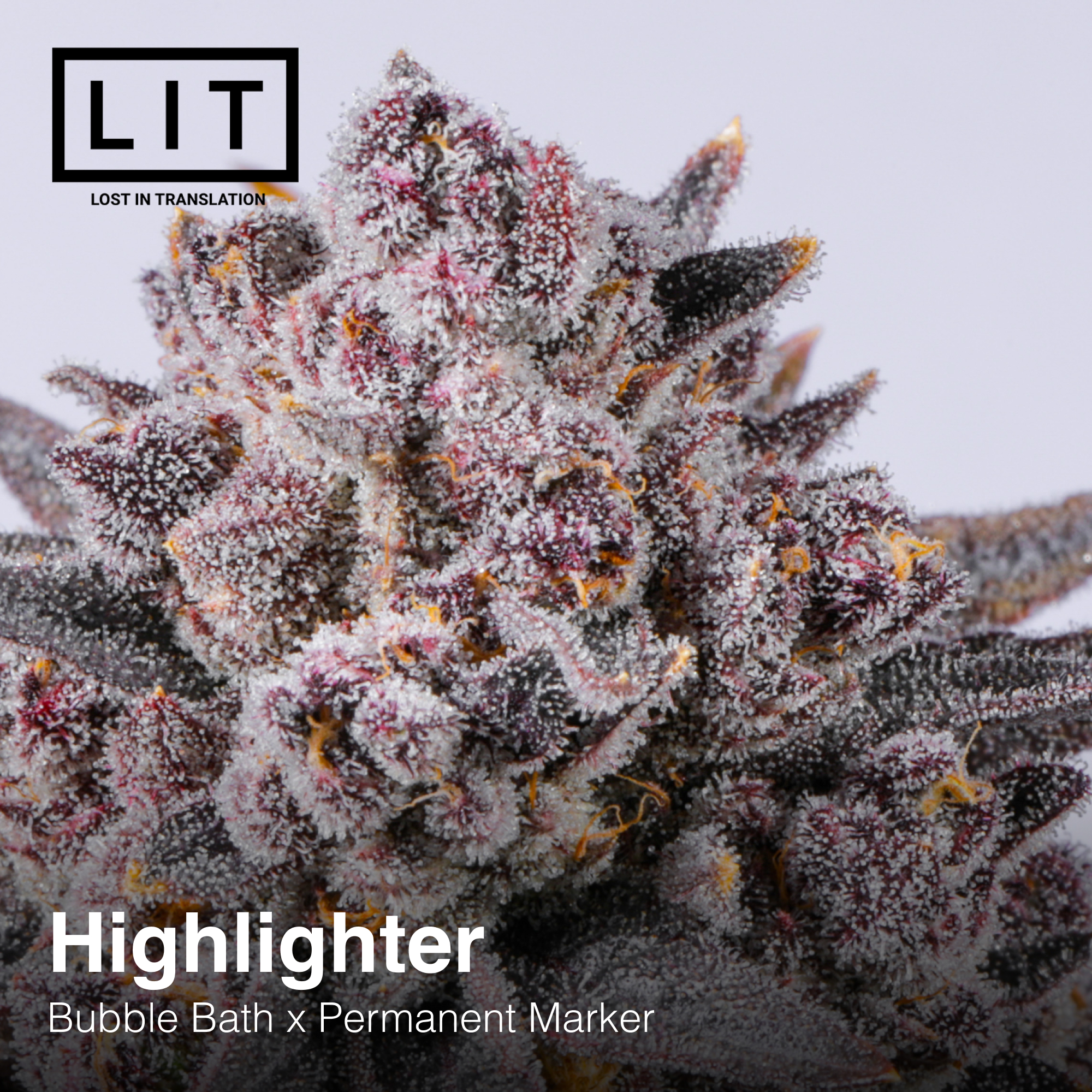 HIGHLIGHTER FULL PACK BY LIT FARMS - Image 2