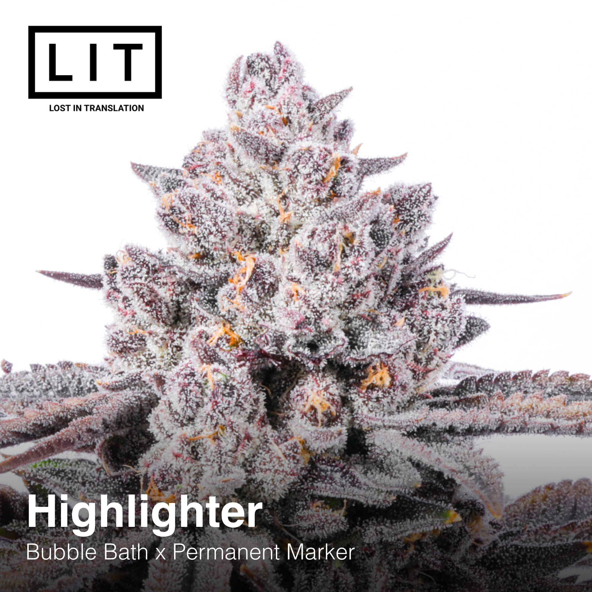 HIGHLIGHTER FULL PACK BY LIT FARMS - Image 3