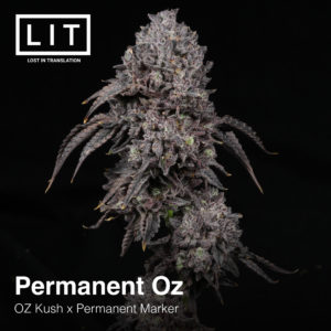 PERMANENT OZ FULL PACK BY LIT FARMS *Includes Freebie Pack*