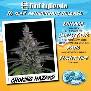 CHOKING HAZARD BY SIN CITY SEEDS *Includes Freebie Pack*