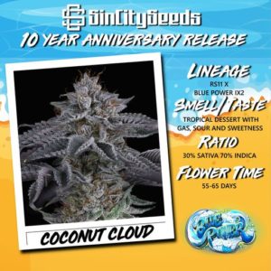 COCONUT CLOUD BY SIN CITY SEEDS *Includes Freebie Pack*