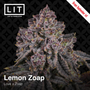 LEMON ZOAP HALF PACK BY LIT FARMS *Includes Freebie Pack*