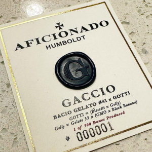 aficionado estates gaccio strain seeds