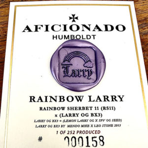 Aficionado rainbow Larry Us seed hub