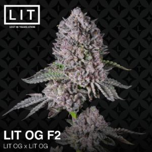 LIT OG F2 HALF PACK BY LIT FARMS *Includes Freebie Pack*