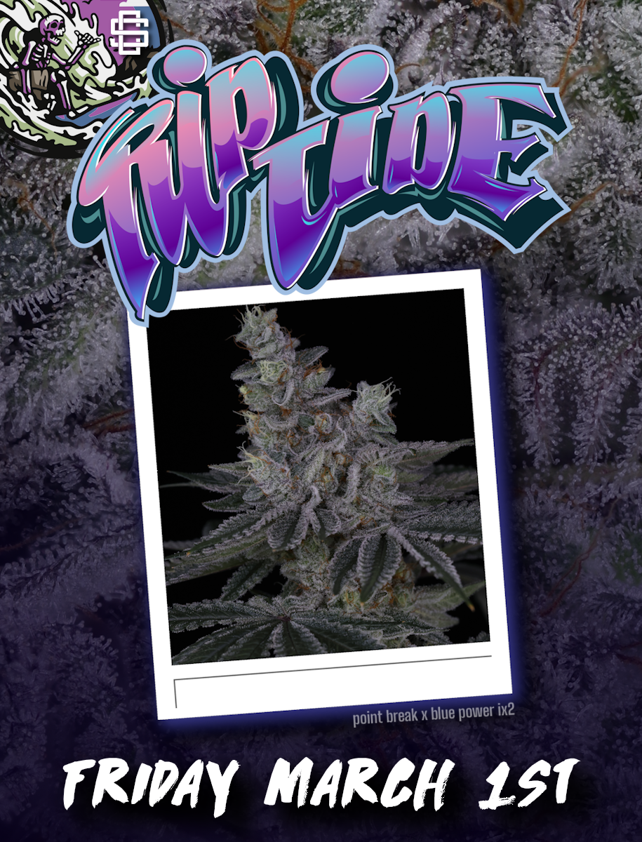 RIP TIDE BY SIN CITY SEEDS & SURF SEEDS *Includes Freebie Pack* - Image 2