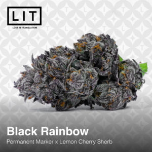 ビックツリー  RAINBOW メンズ 8.5-9.5 ブラック BLACK RAINBOW BY LIT FARMS *Includes Freebie Pack* -