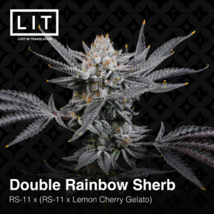 DOUBLE RAINBOW SHERB BY LIT FARMS *Includes Freebie Pack*