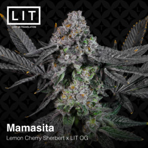 MAMASITA BY LIT FARMS *Includes Freebie Pack*