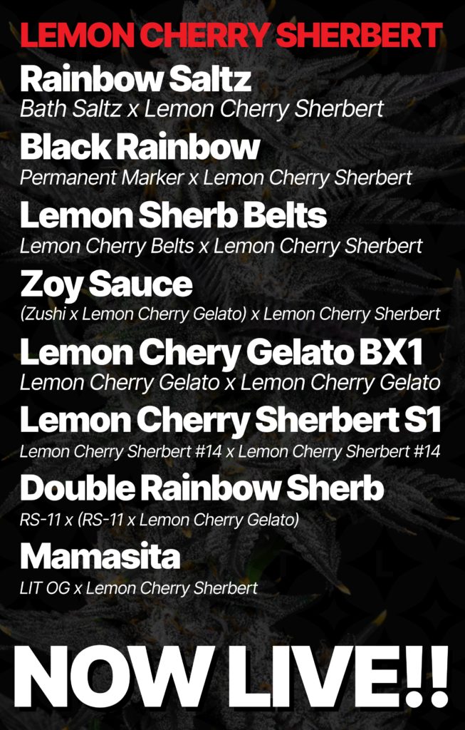 lit farms lemon cherry sherb, black rainbow, double rainbow sherb, zoy sauce, rainbow sherb belts, rainbow saltz, lemon cherry gelato bx1, lemon cherry sherb s1, us seed hub. top cannabis seed banks that ship in the us