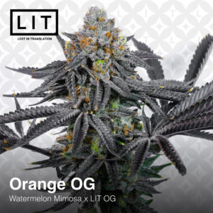 ORANGE OG BY LIT FARMS *Includes Bonus Pack*