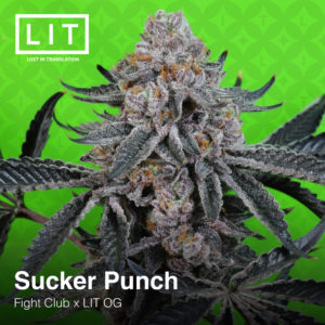 SUCKER PUNCH BY LIT FARMS *Includes Bonus Pack*