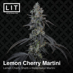 LEMON CHERRY MARTINI BY LIT FARMS *Includes Bonus Pack*