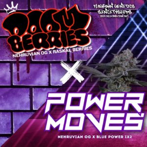 sin city seeds & flogrown genetics collab boom berries & power moves nehruvian og x raskal berries nehruvian og x blue power ix2