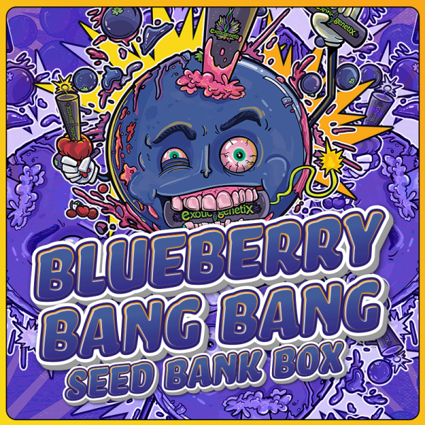 EXOTIC GENETIX BLUEBERRY BANG BANG LIMITED EDITION SIX PACK BOX SET