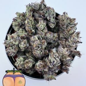 exotic genetix gyat seeds for sale