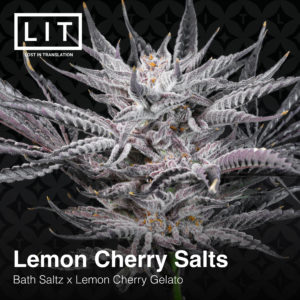 LEMON CHERRY SALTS BY LIT FARMS *Includes Bonus Pack*