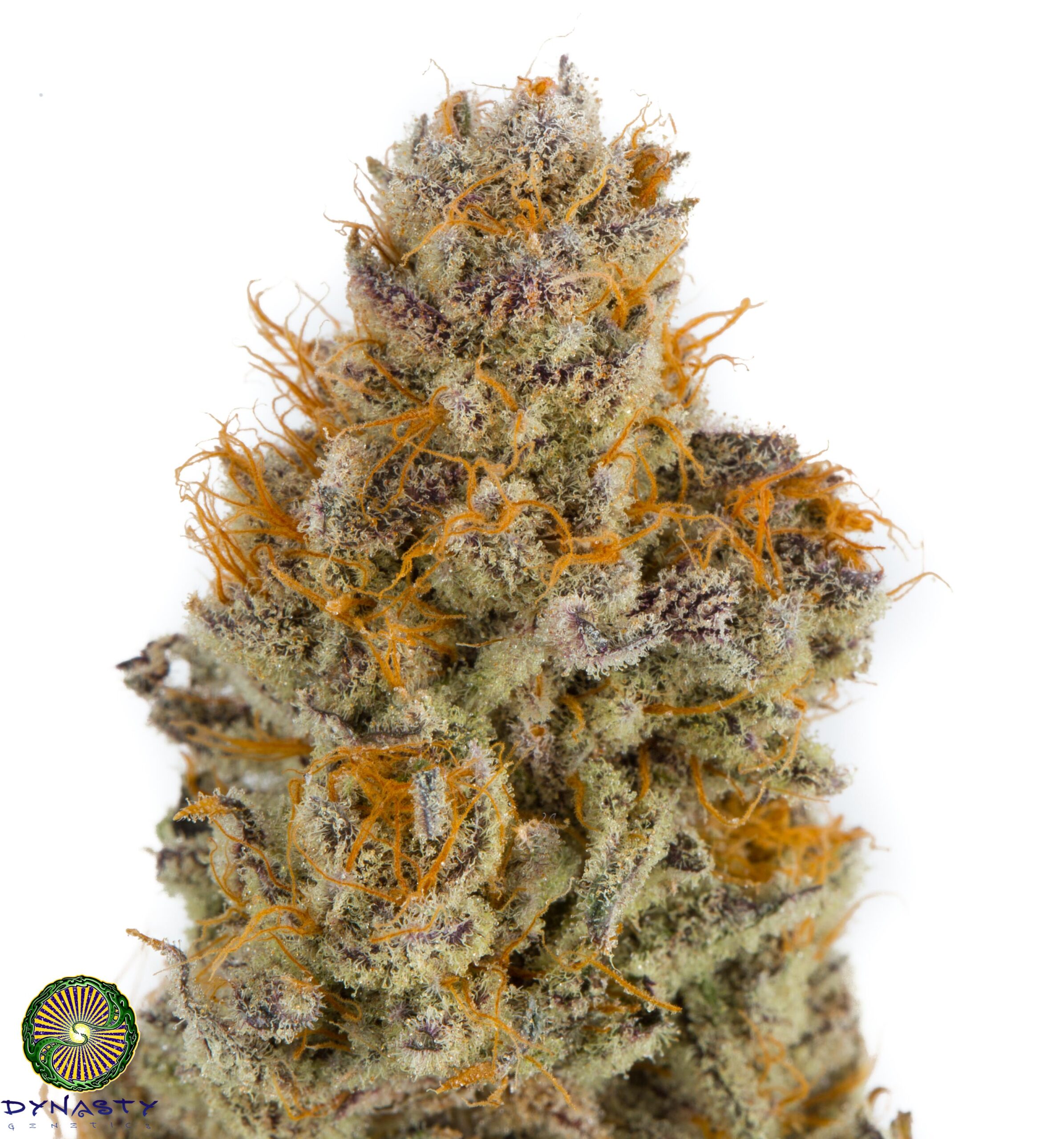 Blackberry Lava Flow