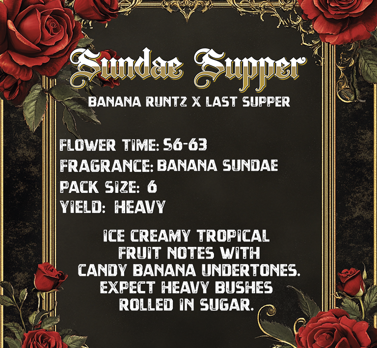 SUNDAE SUPPER BY SOLFIRE GARDENS - Image 2