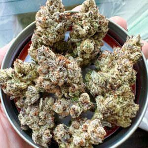 neon nights exotic genetix fem seeds