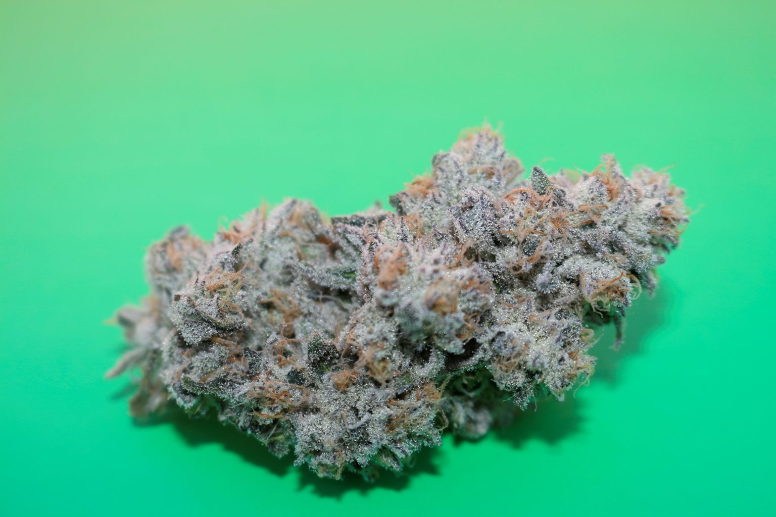 COOLIO BY CAPULATOR - Image 2