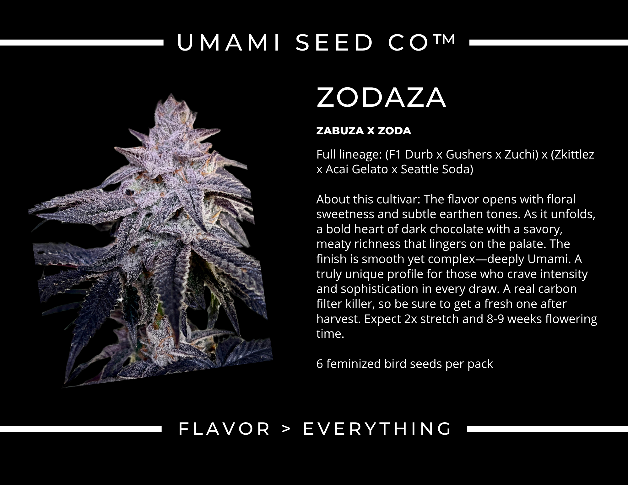 ZODAZA BY UMAMI SEED CO. *bonus pack included* - Image 3