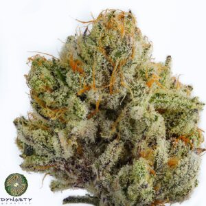 BLACK WATERMELON BY DYNASTY GENETICS *bonus pack included*