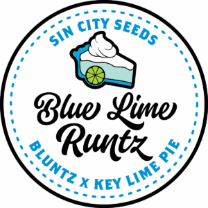sin city seeds blue lime runtz feminized seeds