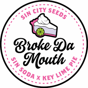sin city seeds broke da mouth feminized seeds