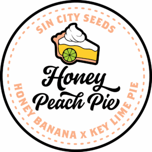 sin city seeds honey peach banana feminized seeds