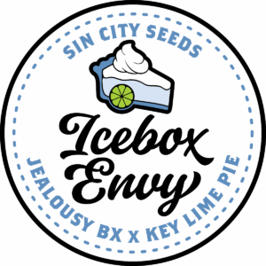 sin city seeds icebox envy feminized seeds