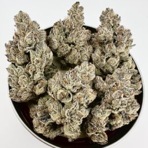 Exotic Genetix Lazeralus Fem Seeds
