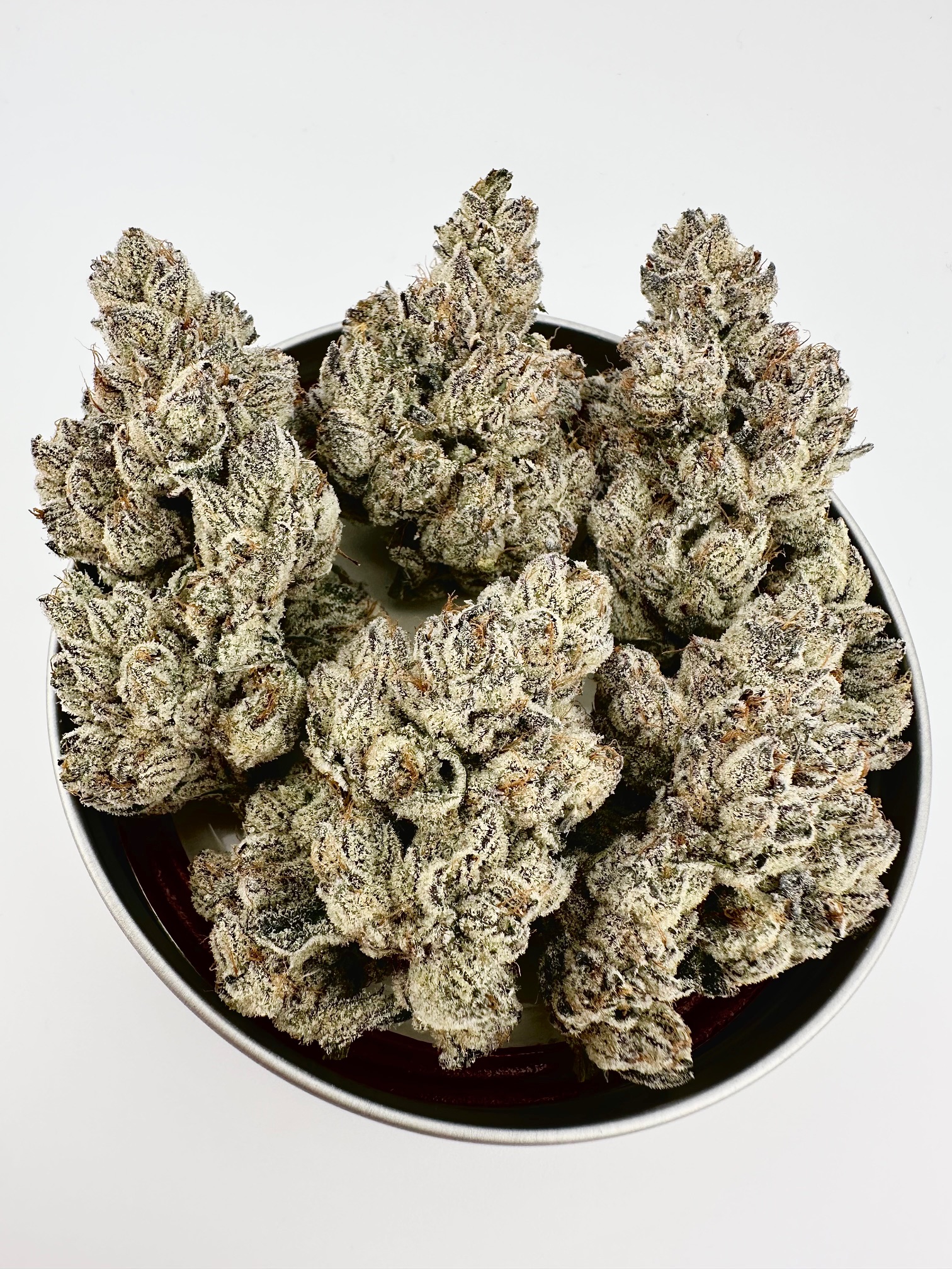 Exotic Genetix Lazeralus Fem Seeds