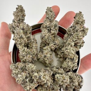 Exotic Genetix Melt Monster Fem Seeds