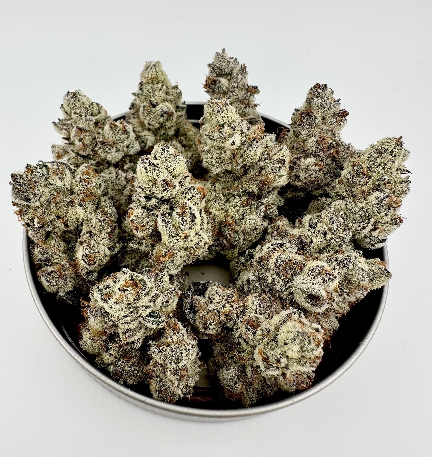 Exotic Genetix Nut Buster Fem Seeds