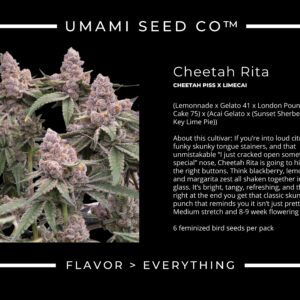 umami seed cheetah rita (cheetah piss x limecai) us seed hub