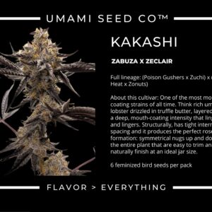 Umami seed co Kakashi fem seeds